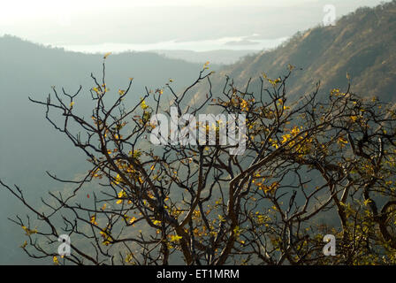 Bhimkund point, Chikhaldara, hill station, Satpura Range, Deccan plateau, Amravati, Maharashtra, India, Asia Stock Photo