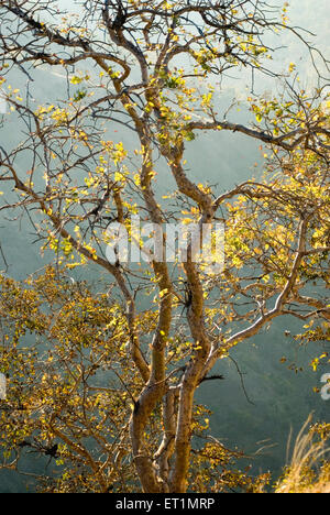 Bhimkund point, Chikhaldara, hill station, Satpura Range, Deccan plateau, Amravati, Maharashtra, India, Asia Stock Photo