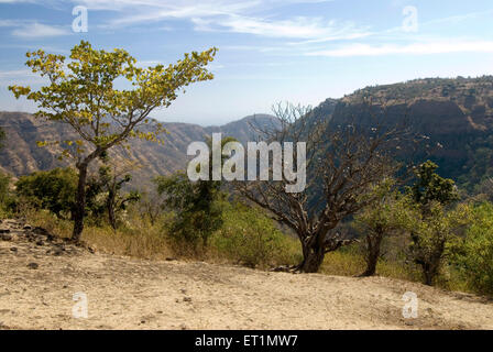 from Gavilgad fort, Chikhaldara, hill station, Satpura Range, Deccan plateau, Amravati, Maharashtra, India, Asia Stock Photo