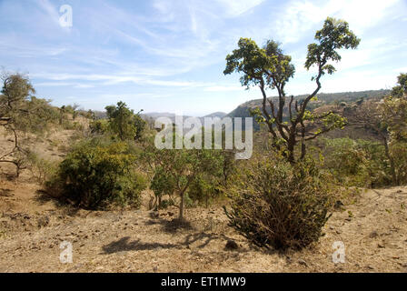 from Gavilgad fort, Chikhaldara, hill station, Satpura Range, Deccan plateau, Amravati, Maharashtra, India, Asia Stock Photo