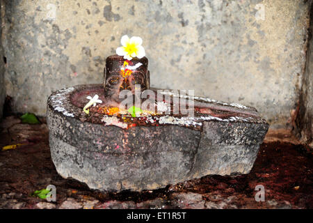 Shivalingam at ardhnari nateshwar temple ; Velapur ; Solapur ; Maharashtra ; India Stock Photo