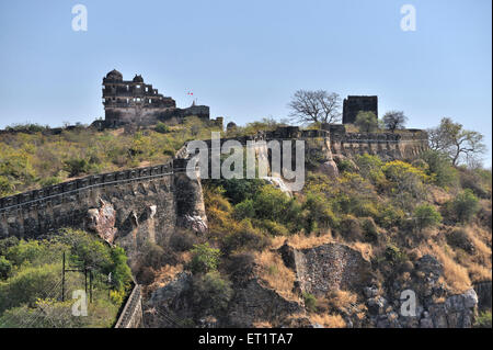 Chittorgarh Fort, Rajasthan, India, Asia Stock Photo