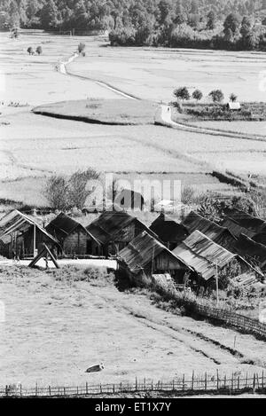 Rice field adjoining Ziro headquarters of Lower Subansiri district ; Arunachal Pradesh ; India ; Asia ; old vintage 1900s picture Stock Photo