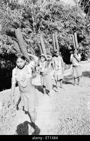 Wancho tribal girl fetching potable water in bamboo pipe ; Arunachal Pradesh ; India ; Asia ; old vintage 1900s picture