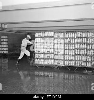 Milk bottles getting ready for dispatch ; milk plant ; Aarey ; Bombay now Mumbai ; Maharashtra ; India ; Asia ; old vintage 1900s Stock Photo