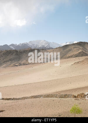 Sand dunes ;  Leh ; Ladakh ; Kashmir ; Jammu and Kashmir ; Union Territory ; UT ; India ; Asia Stock Photo