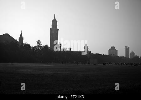 Rajabai Clock Tower, University of Mumbai, Churchgate, Oval Maidan, Fort, Bombay, Mumbai, Maharashtra, India, Asia, Asian, Indian Stock Photo