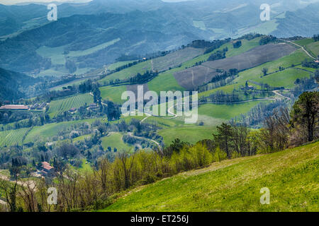 Green farmland cultivated on the rolling hills of the countryside in northern Italy Stock Photo