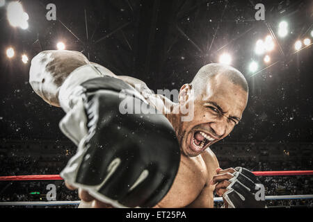 Bald male athlete in a fighting pose Stock Photo