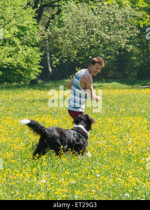 Young man playing frisbee with dog in meadow, Border Collie, Perlacher Forst, Munich, Bavaria, Germany Stock Photo