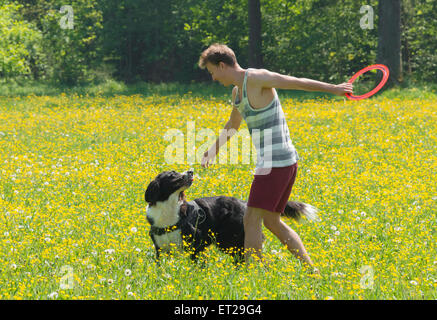 Young man playing frisbee with dog in meadow, Border Collie, Perlacher Forst, Munich, Bavaria, Germany Stock Photo