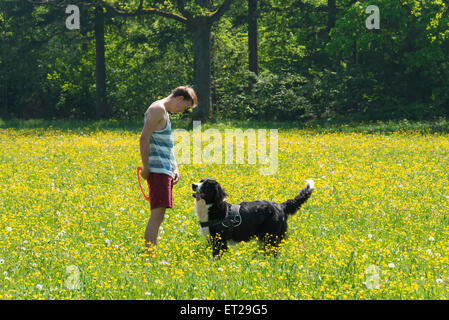 Young man playing frisbee with dog in meadow, Border Collie, Perlacher Forst, Munich, Bavaria, Germany Stock Photo