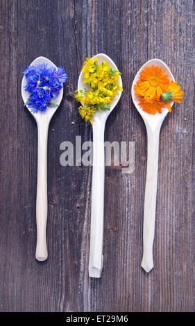 fresh medical herbs flowers in wooden spoons om old plank background Stock Photo