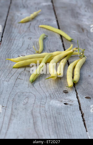 Freshly picked yellow beans from the garden. Stock Photo