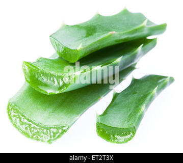 Fresh aloe vera leaves isolated on white background. Stock Photo