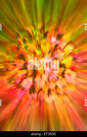 Kaleidoscope of Autumn colours - zoomburst effect Stock Photo