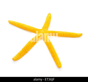 a dried yellow starfish on a white background Stock Photo