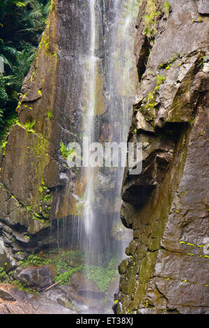 Cascades of fast, mountain falls Stock Photo