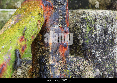 Rust series - The beauty of rust in the multi-coloured oxidation Stock Photo