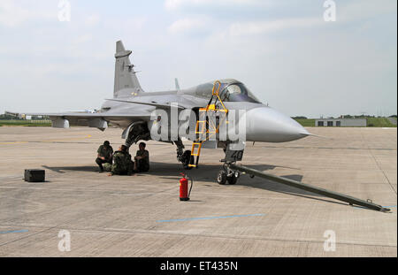 Schoenefeld, Germany, Saab JAS 39 Gripen fighter aircraft of the Swedish Air Force Stock Photo