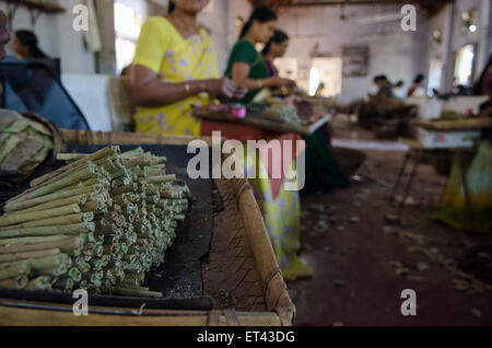 a stack of beedies on a Indian's womens work station in a factory Stock Photo