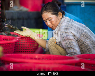 Mahachai, Samut Sakhon, Thailand. 11th June, 2015. A Burmese migrant worker at the Samut Sakhon shrimp market sorts farm raised shrimp. Labor activists say there are about 200,000 migrant workers from Myanmar (Burma) employed in the fishing and seafood industry. Since 2014, Thailand has been a Tier 3 country on the US Department of State Trafficking in Persons Report (TIPS). © Jack Kurtz/ZUMA Wire/Alamy Live News Stock Photo