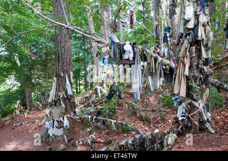 Rags or clooties left as offerings at the Clootie Well near Munlochy, on the Black Isle, Easter Ross, Scotland. Stock Photo