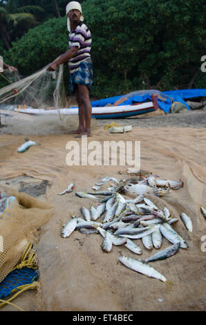 A fisherman sorts his nets and catch on the beach in southern India Stock Photo