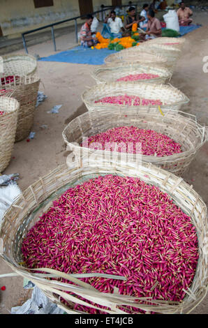 jasmine flowers in baskets lined up at Thovalai flower market with traders making garlands in the background Stock Photo