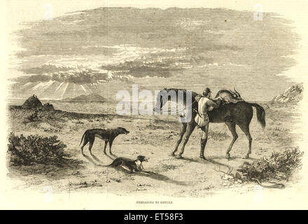 Hunting & animal views ; preparing to return ; India Stock Photo