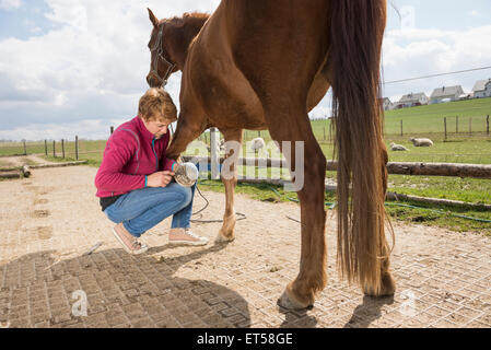 Woman cleaning horse's hoof Bavaria Germany Stock Photo