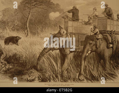 Lithographs The Prince of Wales in the Terai Shooting Bear ; India Stock Photo
