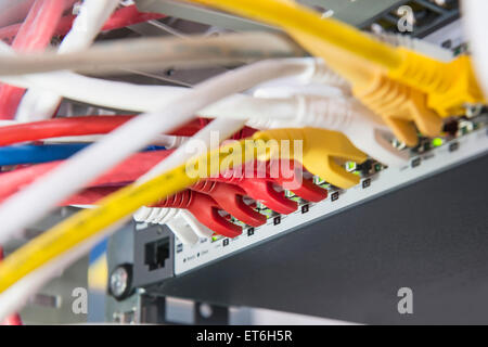 Ethernet lan cables connected to networking router, Munich, Bavaria, Germany Stock Photo