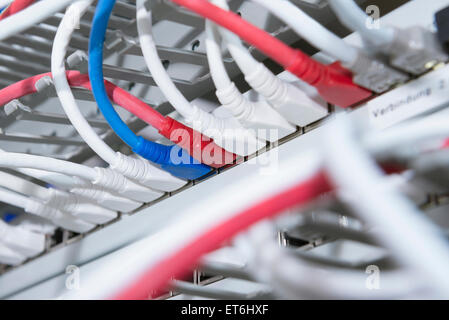 Ethernet lan cables connected to networking router, Munich, Bavaria, Germany Stock Photo