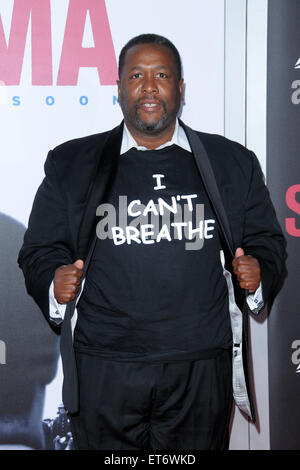 New York premiere of 'Selma' at Ziegfeld Theater - Red carpet arrivals  Featuring: Wendell Pierce Where: New York City, New York, United States When: 14 Dec 2014 Credit: Ivan Nikolov/WENN.com Stock Photo