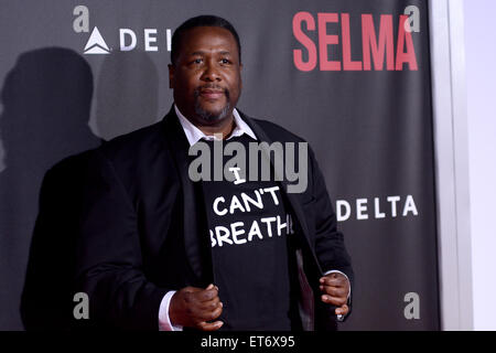 New York premiere of 'Selma' at Ziegfeld Theater - Red carpet arrivals  Featuring: Wendell Pierce Where: New York City, New York, United States When: 14 Dec 2014 Credit: Ivan Nikolov/WENN.com Stock Photo