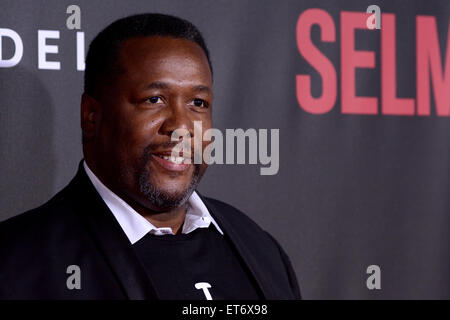 New York premiere of 'Selma' at Ziegfeld Theater - Red carpet arrivals  Featuring: Wendell Pierce Where: New York City, New York, United States When: 14 Dec 2014 Credit: Ivan Nikolov/WENN.com Stock Photo