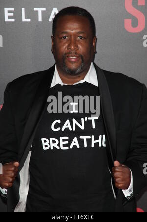 New York premiere of 'Selma' held at the Ziegfeld Theater - Arrivals  Featuring: Wendell Pierce Where: New York City, New York, United States When: 14 Dec 2014 Credit: PNP/WENN.com Stock Photo