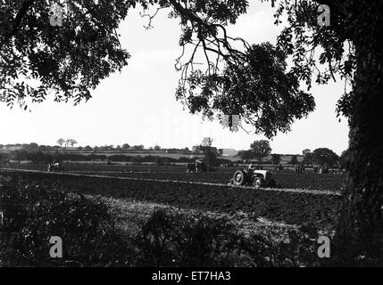 Farmers on their Ferguson TE tractors competing in the Forest of Arden ploughing match. Warwickshire. circa August 1955 Stock Photo