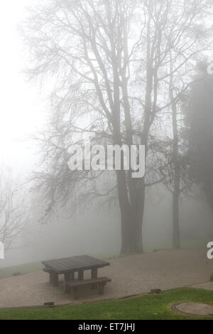 Foggy morning at Sky High Mount Dandenong Stock Photo