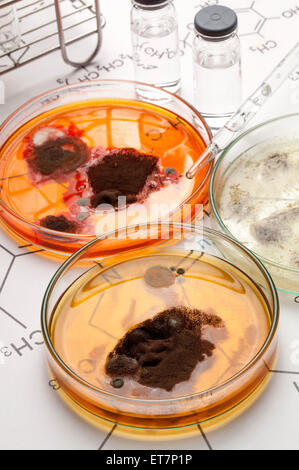 Healthcare And Medicine,Glassware,Laboratory Glassware,Utensil,,Petri Dish Stock Photo