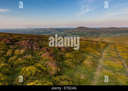 Caer Caradoc, The Lawley and (in the distance) The Wrekin, seen from haddon Hill on the Long Mynd, Shropshire, England, UK Stock Photo
