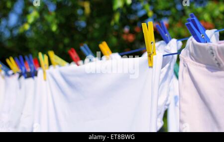 Fresh white laundry hang on the clothesline with colorful pegs. Stock Photo
