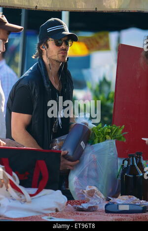 Ian Somerhalder shops for fresh produce at the Studio City Farmers Market.  Featuring: Ian Somerhalder Where: Studio City California, California, United States When: 04 Jan 2015 Credit: VALPO NNEWs/WENN.com Stock Photo