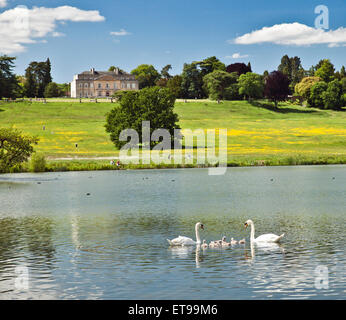 Gatton Park, Reigate, Surrey. Stock Photo