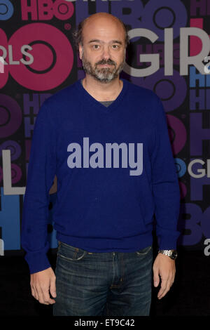 'Girls' Season Four Premiere - Red Carpet Arrivals  Featuring: Scott Adsit Where: Manhattan, New York, United States When: 06 Jan 2015 Credit: Ivan Nikolov/WENN.com Stock Photo