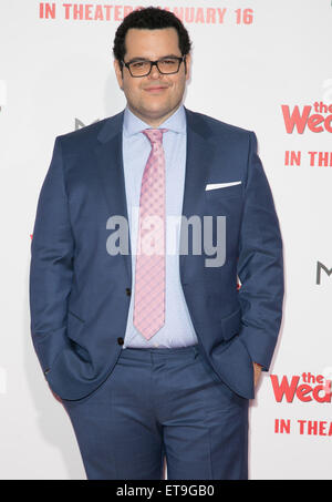 Celebrities attend World premiere of Screen Gems 'The Wedding Ringer' at TCL Chinese Theater in Hollywood.  Featuring: Josh Gad Where: Los Angeles, California, United States When: 06 Jan 2015 Credit: Brian To/WENN.com Stock Photo