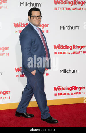 Celebrities attend World premiere of Screen Gems 'The Wedding Ringer' at TCL Chinese Theater in Hollywood.  Featuring: Josh Gad Where: Los Angeles, California, United States When: 06 Jan 2015 Credit: Brian To/WENN.com Stock Photo