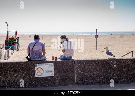 Adult male and female sit side by side on a sea wall overlooking the beach eating a fish and chip snack with a gull very near Stock Photo