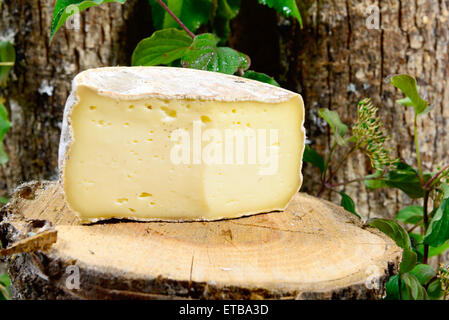 french cheeses Savoie on a piece of wood Stock Photo